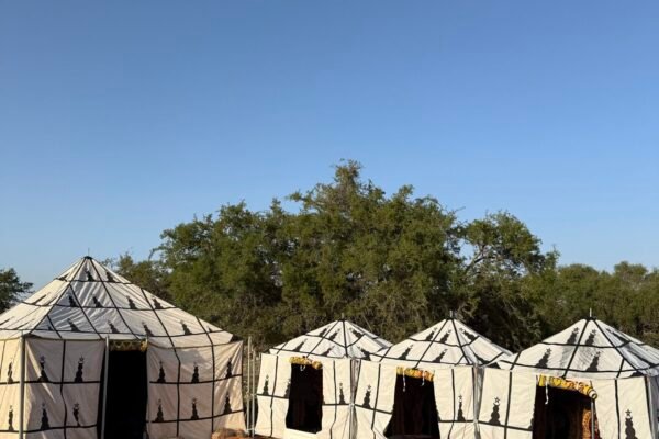 3 Days trek Ancien Arbre d´argan