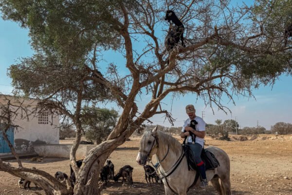 3 Days trek Ancien Arbre d´argan