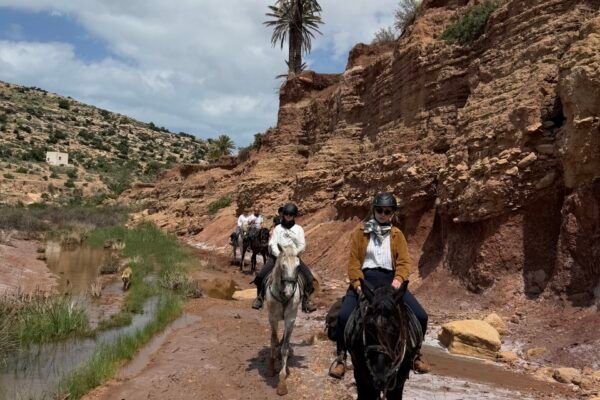 3 Days trek Ancien Arbre d´argan