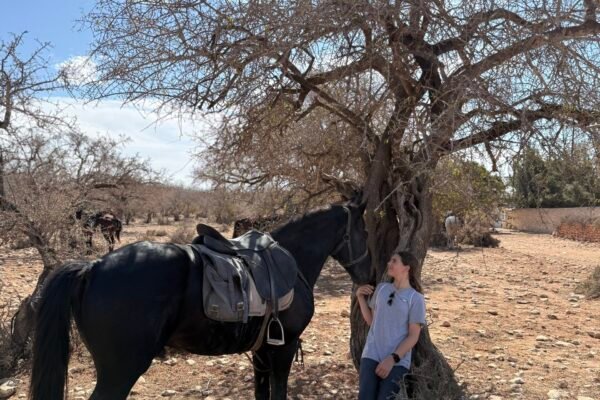 5 days Sidi Mbarek Waterfalls