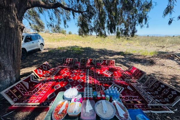 4 days Trek Argan trees and beaches