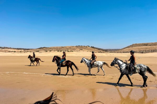 3 Days trek Ancien Arbre d´argan