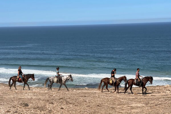 3 Days trek Ancien Arbre d´argan