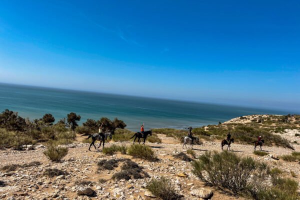 3 Days trek Ancien Arbre d´argan