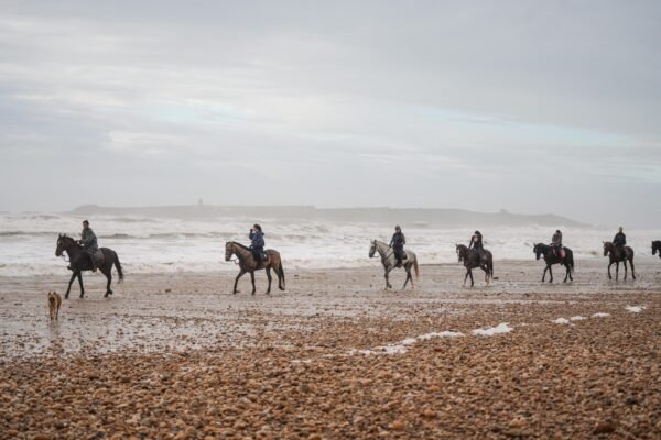 3 Days trek Ancien Arbre d´argan
