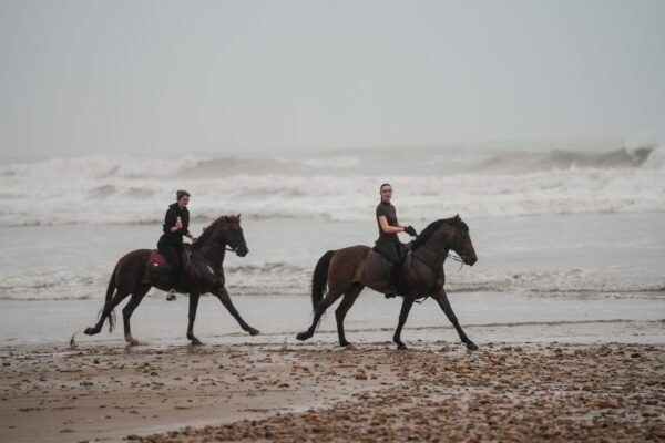 4 days Trek Argan trees and beaches