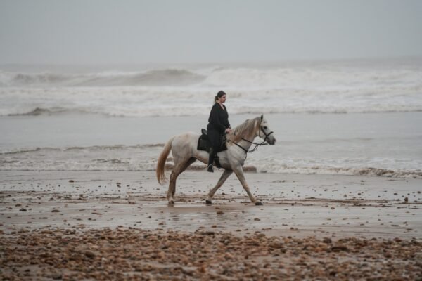 4 days Trek Argan trees and beaches