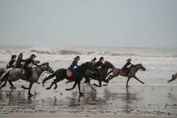 4 days Trek Argan trees and beaches