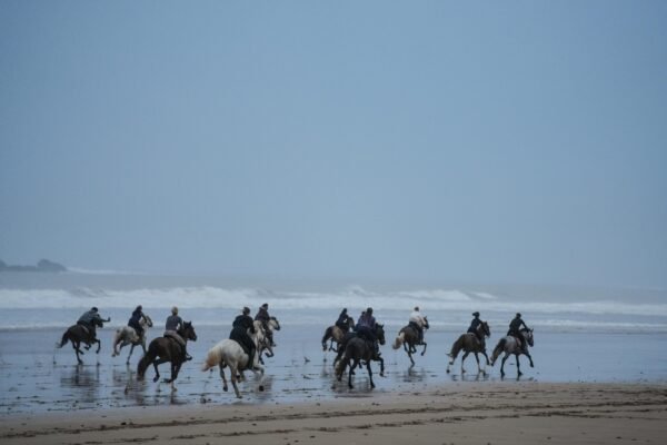 4 days Trek Argan trees and beaches