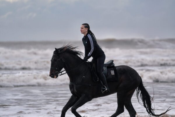 4 days Trek Argan trees and beaches