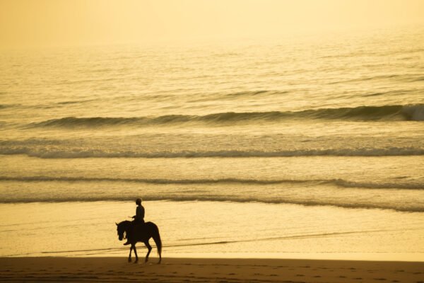 4 days Trek Argan trees and beaches