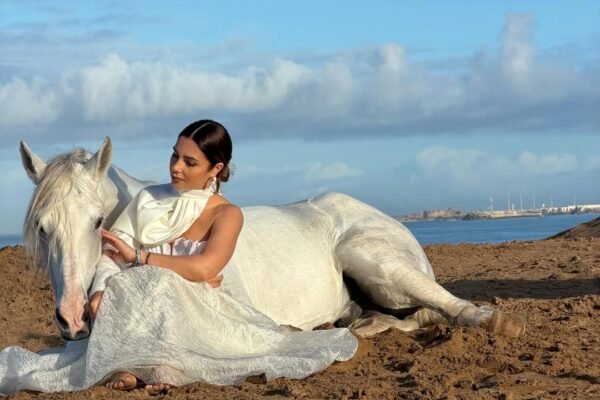 1 horse Photoshoot (bareback and bridleless possible)