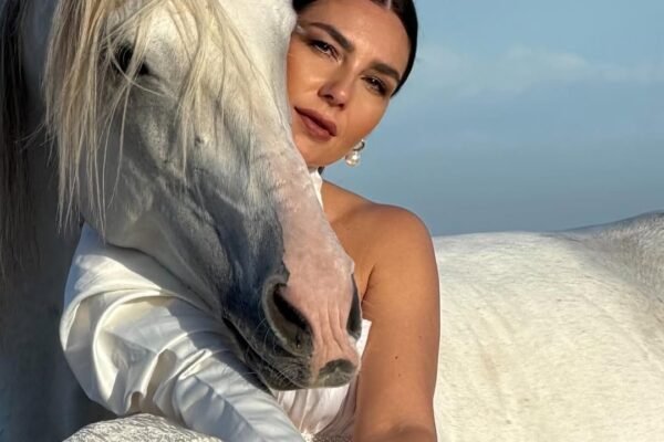 1 horse Photoshoot (bareback and bridleless possible)