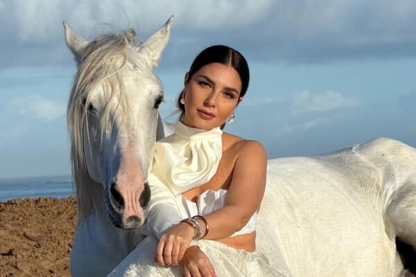 1 horse Photoshoot (bareback and bridleless possible)