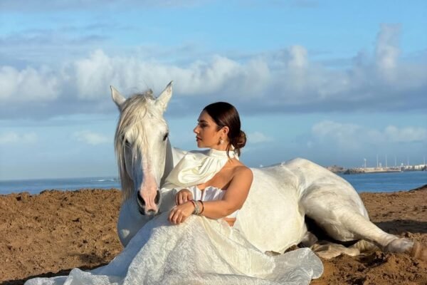 1 horse Photoshoot (bareback and bridleless possible)