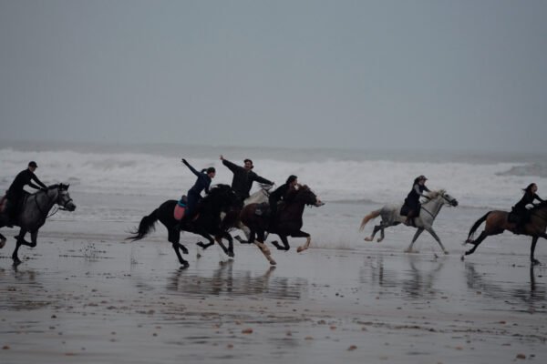 4 days Trek Argan trees and beaches