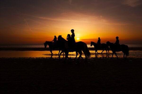 3 Days trek Ancien Arbre d´argan